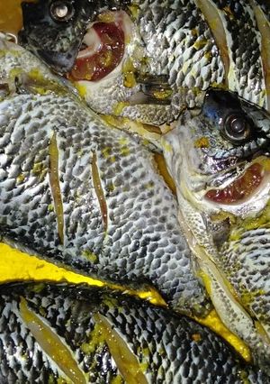 Foto resep Nila bumbu Kuning untuk di goreng