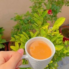 A picture of Gujarati Adrak Vali Kadak Chai.