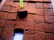 Gambar ubi putih coklat