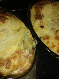 Una foto de Canelones sin masa