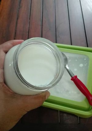 Foto resep Plain Yogurt