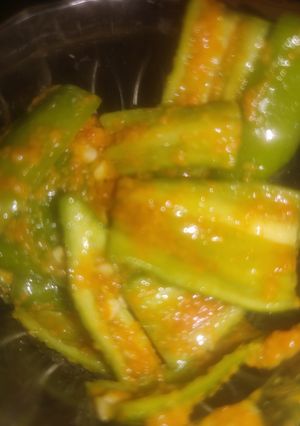 મેથીયા મરચા (Methiya Marcha Recipe In Gujarati) રેસીપી મુખ્ય ફોટો