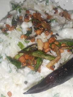 कर्ड राईस (Curd rice recipe in Hindi) रेसिपी मुख्य फोटो