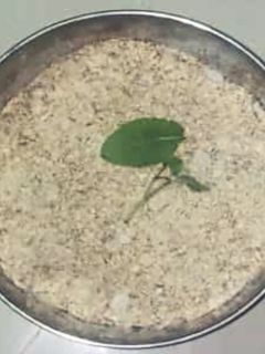 पंजीरी प्रसाद (panjiri prasad recipe in Hindi) रेसिपी मुख्य फोटो