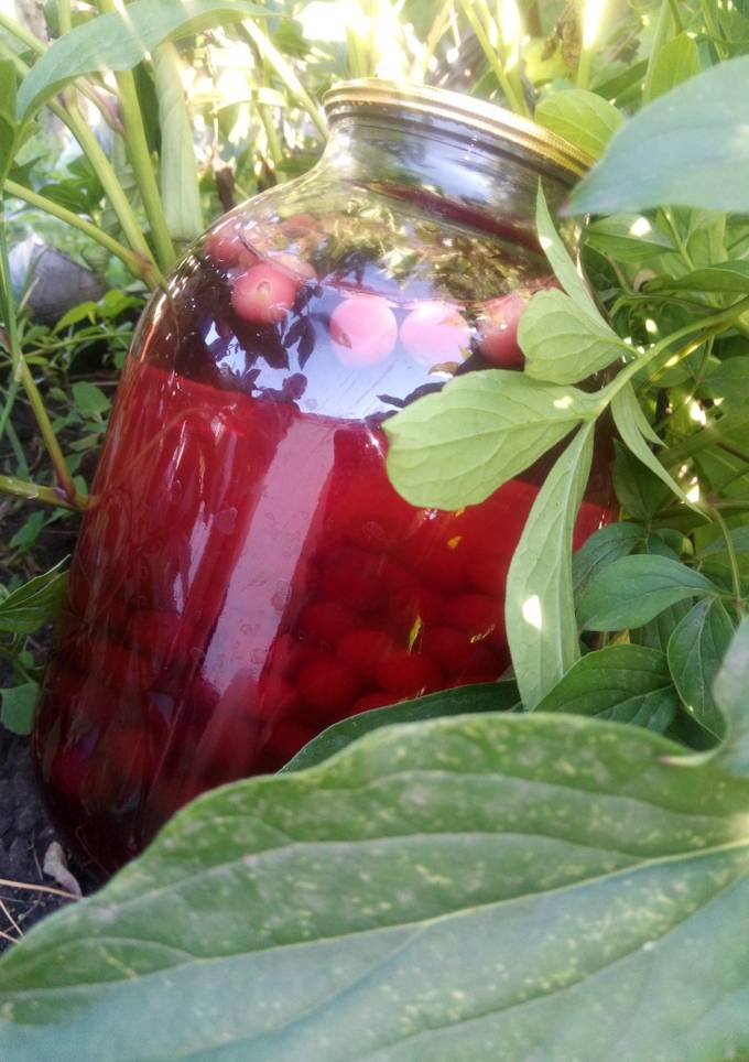Компот вишневий з корицею
