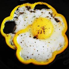 A picture of Sunflower eggs.