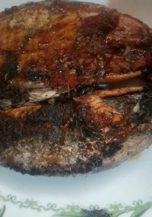 Une photo de Bonite grillé