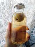 Homemade Umeshu liquor