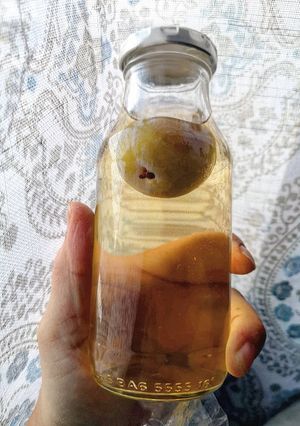 A picture of Homemade Umeshu liquor.