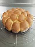 Brioche