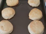 A picture of biscuits without cream