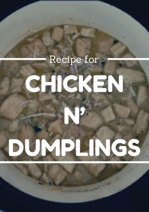 A picture of Chicken & dumplings.