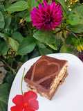Tort din pișcoturi cu cremă de mascarpone, vanilie și ciocolata!