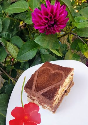 O poză a rețetei Tort din pișcoturi cu cremă de mascarpone, vanilie și ciocolata!.