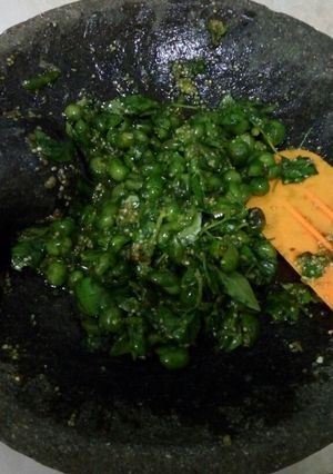 Foto resep Karedok Leunca (ranti)