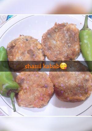 A picture of Shami kabab.