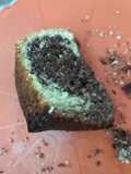 Coconut bundt cake