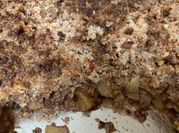 A picture of pecan keto