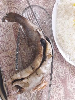 عکسی از دستور ماهی شکم پر