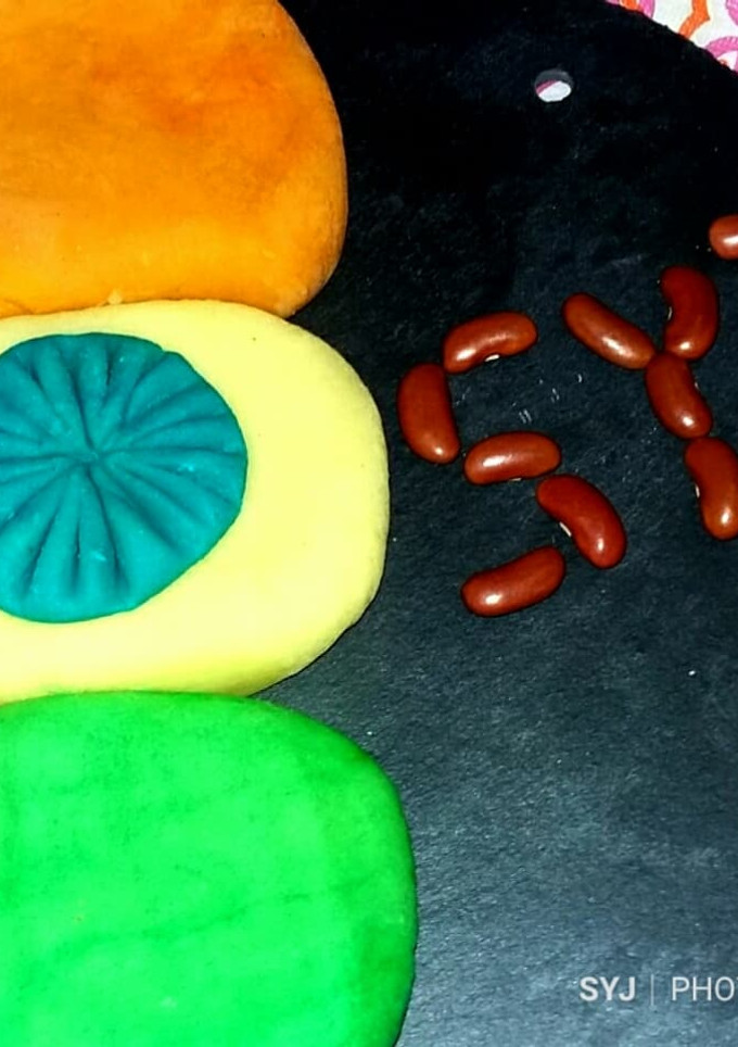 A picture of Homamade PlayDough For Kids (Chemical free).