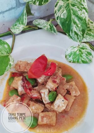 Foto resep Tahu tempe Pete udang masak santan