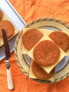 Foto resep Pudding Regal