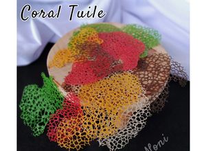 Foto resep Coral Tuile (Garnish)
