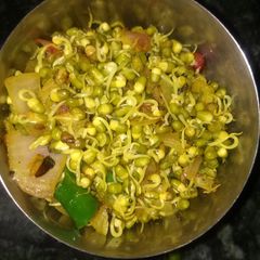 A picture of Sprout chat.