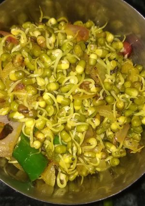 A picture of Sprout chat.