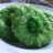 Cucur hijau bersarang