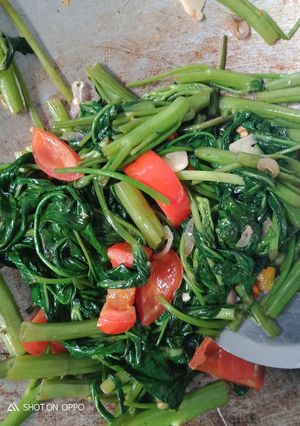 Foto resep Tumis kangkung
