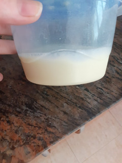 Una foto de Leche tipo condensada (casera)