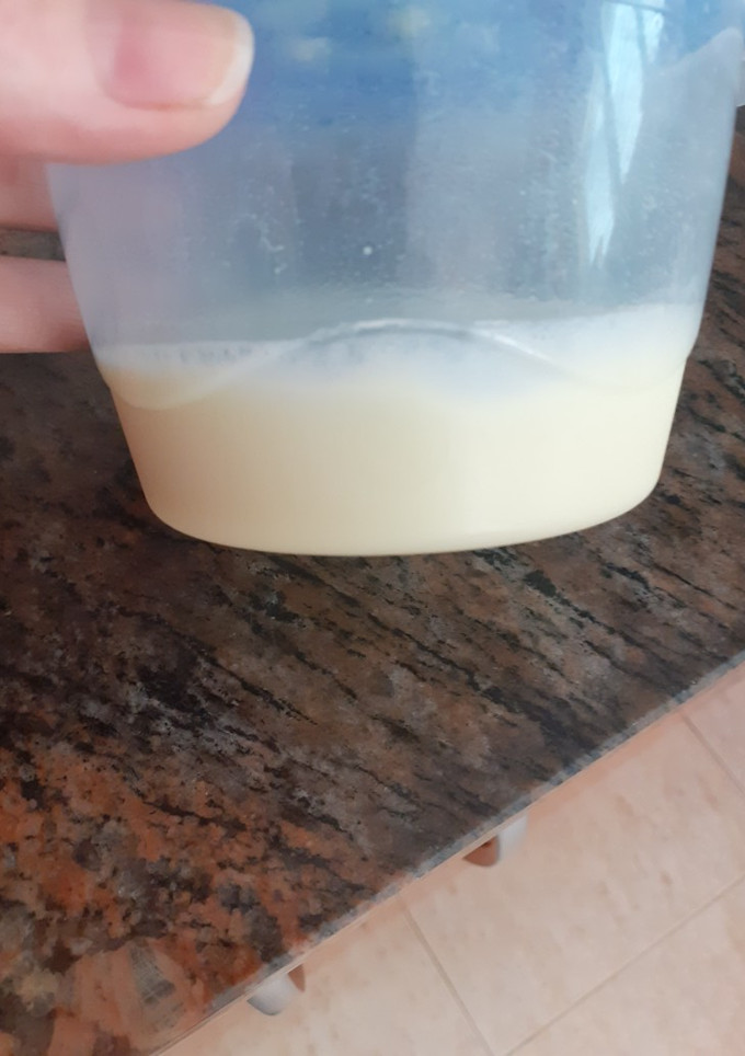 Una foto de Leche tipo condensada (casera)