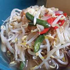 Tumis Tauge রেসিপির প্রধান ছবি