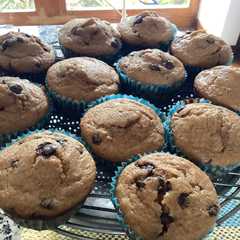 Foto principal de Muffins de plátanos (bananas, cambures)