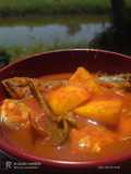 Asam pedas nenas utara