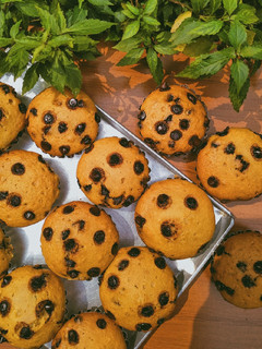 Foto resep Vanilla chocochips muffin