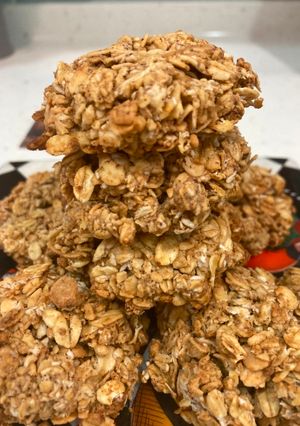 低碳減醣燕麥餅乾 的食譜成品照片
