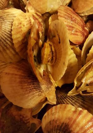 Une photo de Spécial Saint  Valentin - Mini Coquilles Saint-Jacques sauce "Edith Piaf"