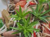 Bao tử cá basa xào chua