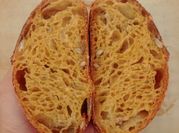Gambar pumpkin butternut squash