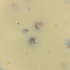 A picture of Makhana kheer.
