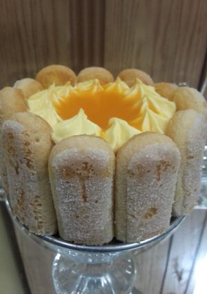 A picture of Mango tiramisu.