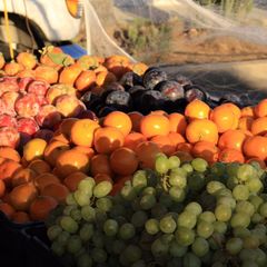 A picture of Farmers market/ Farm stand field trip! Dec. 2016.