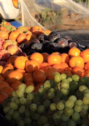 A picture of Farmers market/ Farm stand field trip! Dec. 2016.