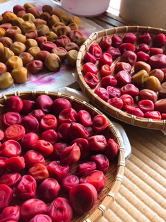 A picture of Umeboshi- Japanese pickled plums / salt-preserved plums.