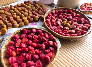 A picture of Umeboshi- Japanese pickled plums / salt-preserved plums.