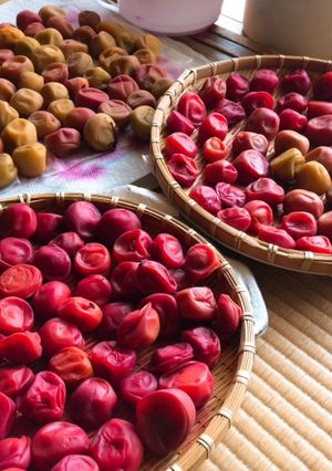 A picture of Umeboshi- Japanese pickled plums / salt-preserved plums.