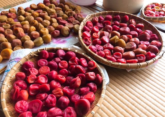 Recipe of Award-winning Umeboshi- Japanese pickled plums / salt-preserved plums