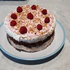 A picture of Raspberry and Chocolate Brownie Meringue Cake.